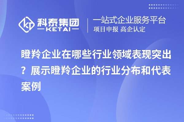瞪羚企業(yè)在哪些行業(yè)領(lǐng)域表現(xiàn)突出？展示瞪羚企業(yè)的行業(yè)分布和代表案例