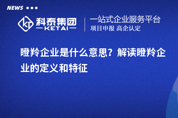 瞪羚企業(yè)是什么意思？解讀瞪羚企業(yè)的定義和特征