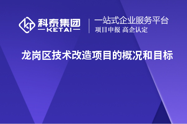 龍崗區(qū)技術(shù)改造項目的概況和目標(biāo)