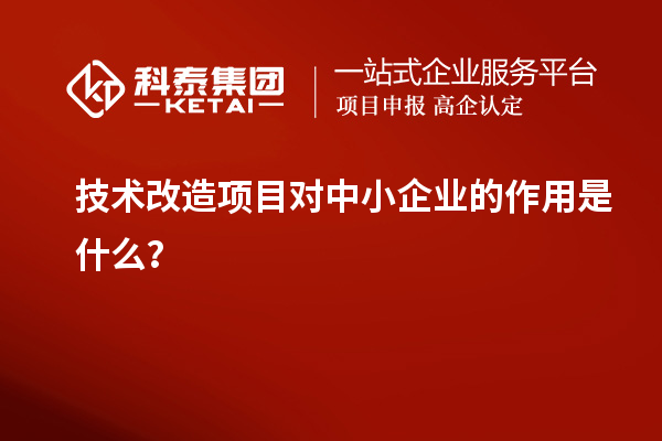 技術改造項目對中小企業(yè)的作用是什么？