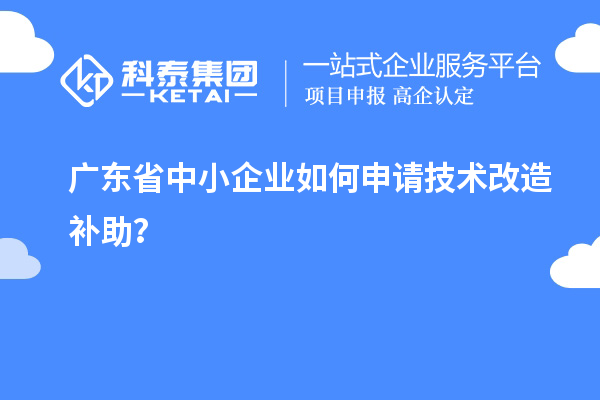 廣東省中小企業(yè)如何申請技術(shù)改造補(bǔ)助？