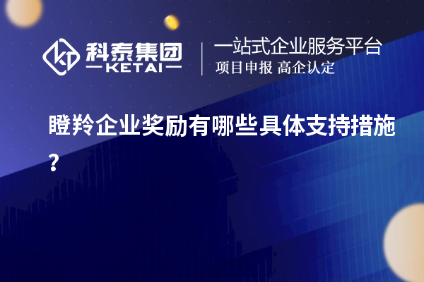 瞪羚企業(yè)獎勵有哪些具體支持措施？