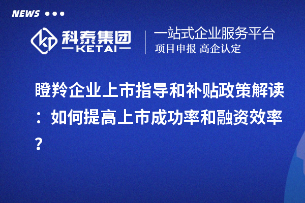 瞪羚企業(yè)上市指導(dǎo)和補(bǔ)貼政策解讀：如何提高上市成功率和融資效率？