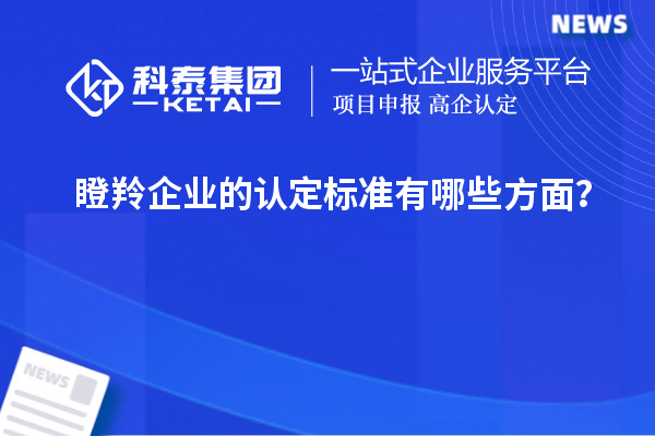 瞪羚企業(yè)的認定標準有哪些方面？