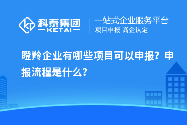 瞪羚企業(yè)有哪些項(xiàng)目可以申報(bào)？申報(bào)流程是什么？