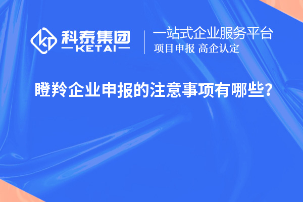 瞪羚企業(yè)申報的注意事項有哪些？