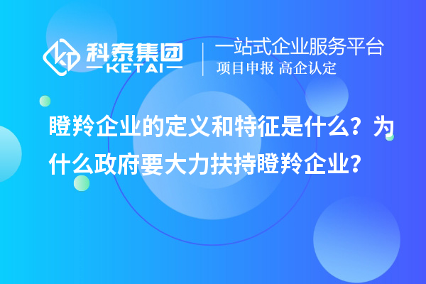 瞪羚企業(yè)的定義和特征是什么？為什么政府要大力扶持瞪羚企業(yè)？