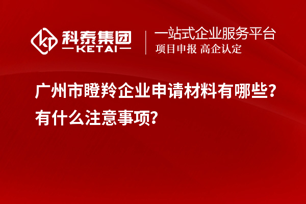 廣州市瞪羚企業(yè)申請材料有哪些？有什么注意事項(xiàng)？