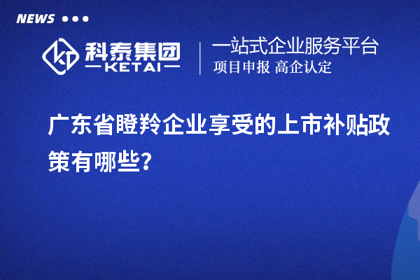 廣東省瞪羚企業(yè)享受的上市補(bǔ)貼政策有哪些？