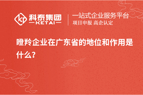 瞪羚企業(yè)在廣東省的地位和作用是什么？