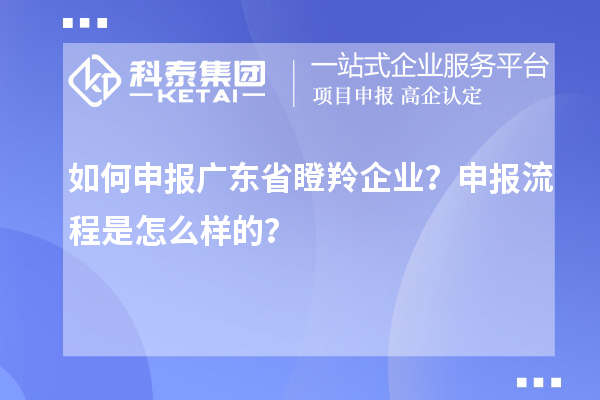 如何申報(bào)廣東省瞪羚企業(yè)？申報(bào)流程是怎么樣的？