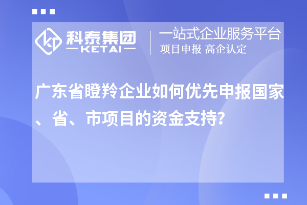 廣東省瞪羚企業(yè)如何優(yōu)先申報(bào)國家、省、市項(xiàng)目的資金支持？