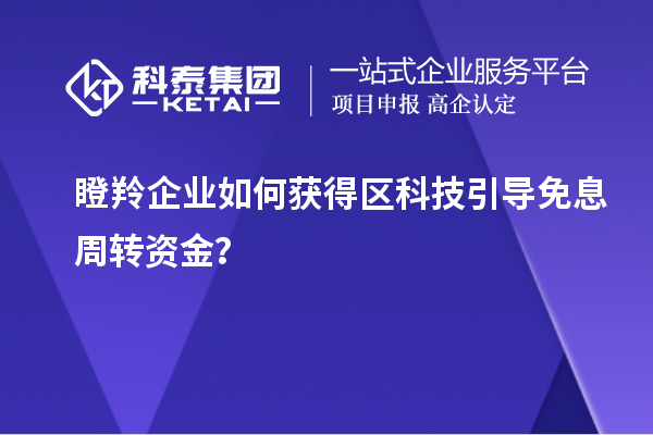 瞪羚企業(yè)如何獲得區(qū)科技引導(dǎo)免息周轉(zhuǎn)資金？