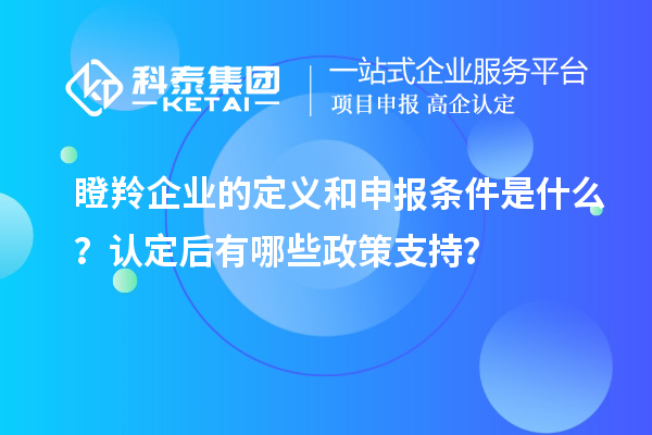 瞪羚企業(yè)的定義和申報(bào)條件是什么？認(rèn)定后有哪些政策支持？