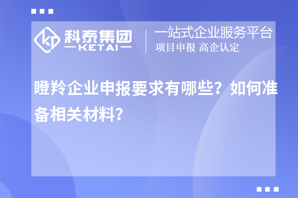 瞪羚企業(yè)申報(bào)要求有哪些？如何準(zhǔn)備相關(guān)材料？