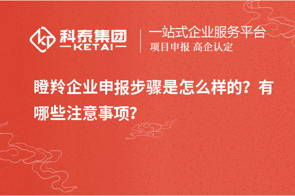 瞪羚企業(yè)申報(bào)步驟是怎么樣的？有哪些注意事項(xiàng)？