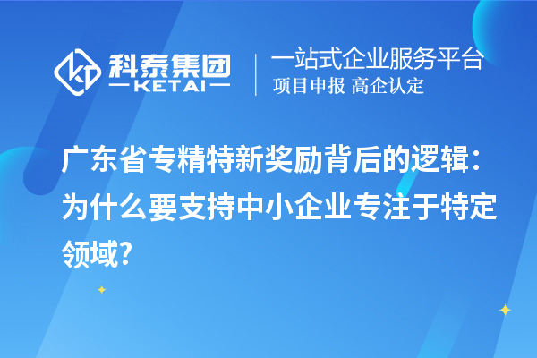 廣東省專精特新獎勵背后的邏輯：為什么要支持中小企業(yè)專注于特定領域?