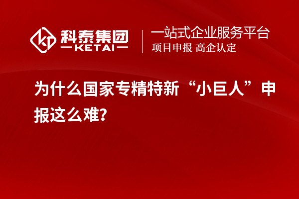 為什么國(guó)家專(zhuān)精特新“小巨人”申報(bào)這么難？