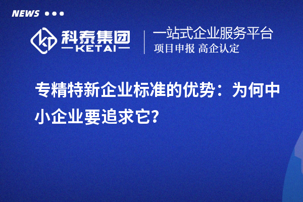 專精特新企業(yè)標(biāo)準(zhǔn)的優(yōu)勢(shì)：為何中小企業(yè)要追求它？