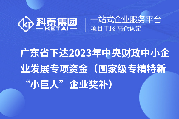 廣東省下達(dá)2023年中央財(cái)政中小企業(yè)發(fā)展專(zhuān)項(xiàng)資金（國(guó)家級(jí)專(zhuān)精特新“小巨人”企業(yè)獎(jiǎng)補(bǔ)）