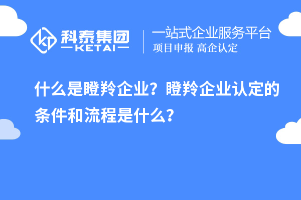 什么是瞪羚企業(yè)？瞪羚企業(yè)認(rèn)定的條件和流程是什么？
