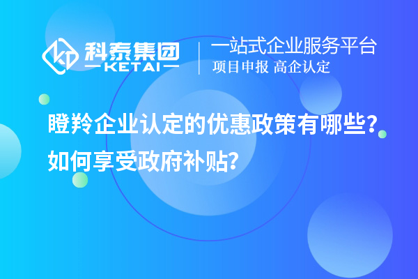 瞪羚企業(yè)認(rèn)定的優(yōu)惠政策有哪些？如何享受政府補(bǔ)貼？
