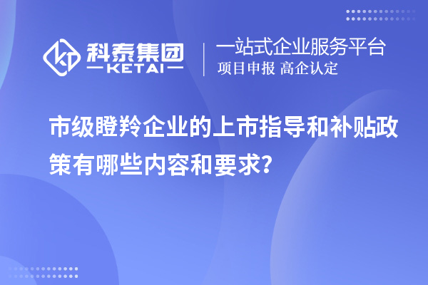 市級瞪羚企業(yè)的上市指導(dǎo)和補(bǔ)貼政策有哪些內(nèi)容和要求？