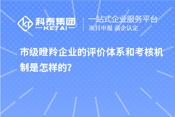 市級瞪羚企業(yè)的評價(jià)體系和考核機(jī)制是怎樣的？