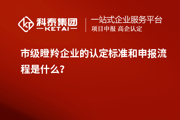 市級瞪羚企業(yè)的認(rèn)定標(biāo)準(zhǔn)和申報(bào)流程是什么？