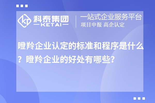 瞪羚企業(yè)認定的標準和程序是什么？瞪羚企業(yè)的好處有哪些？