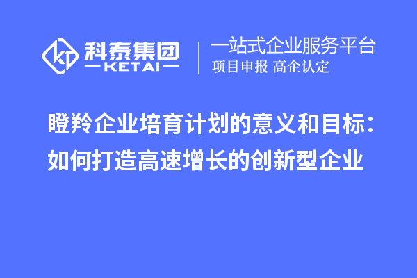 瞪羚企業(yè)培育計劃的意義和目標：如何打造高速增長的創(chuàng)新型企業(yè)