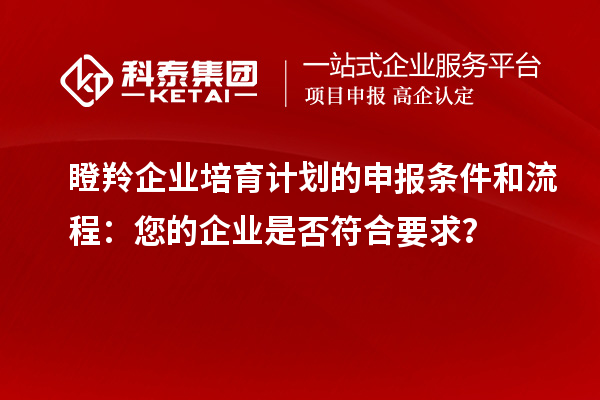 瞪羚企業(yè)培育計劃的申報條件和流程：您的企業(yè)是否符合要求？