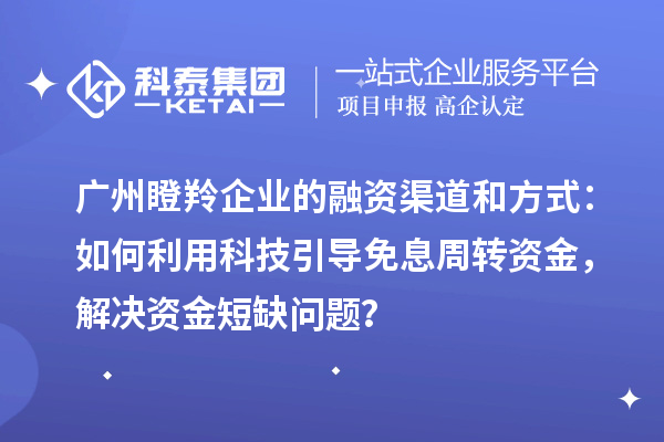 廣州瞪羚企業(yè)的融資渠道和方式：如何利用科技引導免息周轉(zhuǎn)資金，解決資金短缺問題？