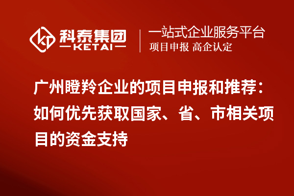 廣州瞪羚企業(yè)的項目申報和推薦：如何優(yōu)先獲取國家、省、市相關項目的資金支持