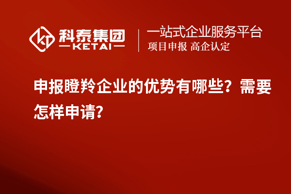 申報瞪羚企業(yè)的優(yōu)勢有哪些？需要怎樣申請？