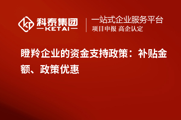 瞪羚企業(yè)的資金支持政策：補(bǔ)貼金額、政策優(yōu)惠