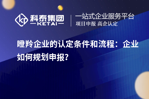瞪羚企業(yè)的認定條件和流程：企業(yè)如何規(guī)劃申報？