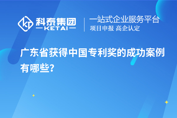 廣東省獲得中國專利獎(jiǎng)的成功案例有哪些？