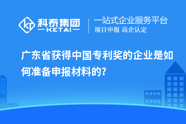 廣東省獲得中國專利獎的企業(yè)是如何準備申報材料的？
