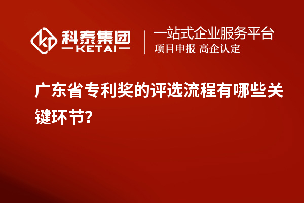 廣東省專利獎的評選流程有哪些關鍵環(huán)節(jié)？