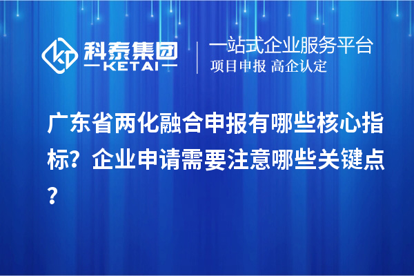 廣東省兩化融合申報有哪些核心指標(biāo)？企業(yè)申請需要注意哪些關(guān)鍵點？