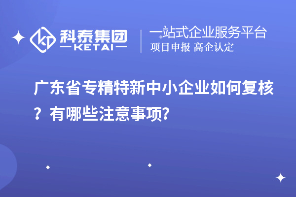 廣東省專精特新中小企業(yè)如何復(fù)核？有哪些注意事項(xiàng)？