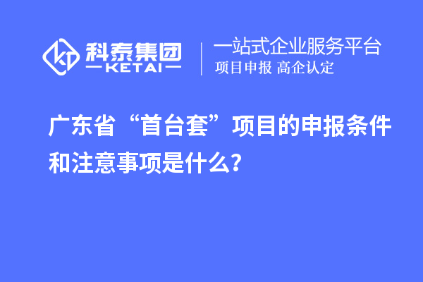 廣東省“首臺(tái)套”項(xiàng)目的申報(bào)條件和注意事項(xiàng)是什么？