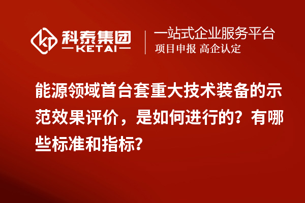 能源領(lǐng)域首臺(tái)套重大技術(shù)裝備的示范效果評價(jià)，是如何進(jìn)行的？有哪些標(biāo)準(zhǔn)和指標(biāo)？