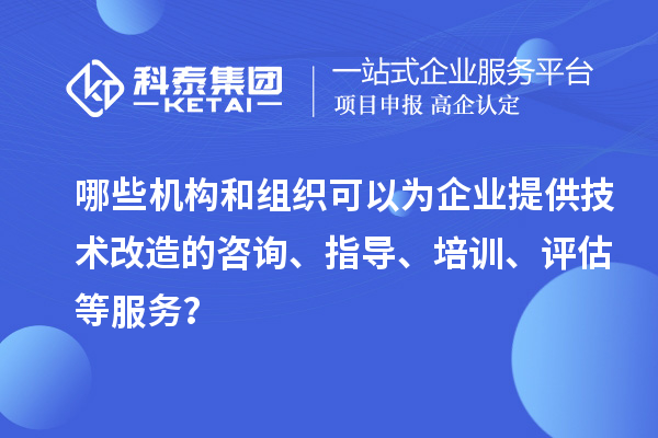 哪些機(jī)構(gòu)和組織可以為企業(yè)提供技術(shù)改造的咨詢、指導(dǎo)、培訓(xùn)、評(píng)估等服務(wù)？