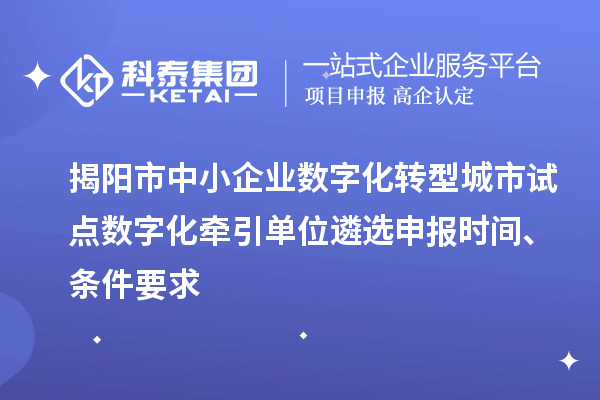 揭陽市中小企業(yè)數(shù)字化轉(zhuǎn)型城市試點(diǎn)數(shù)字化牽引單位遴選申報(bào)時(shí)間、條件要求