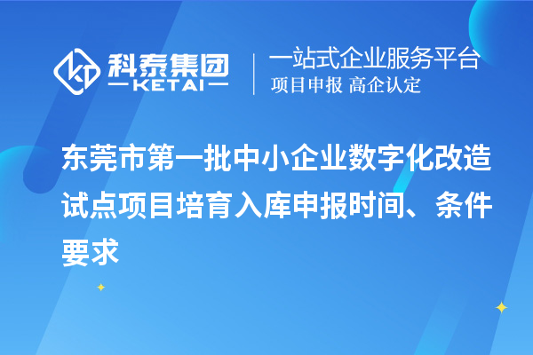東莞市第一批中小企業(yè)數(shù)字化改造試點(diǎn)項(xiàng)目培育入庫申報(bào)時(shí)間、條件要求