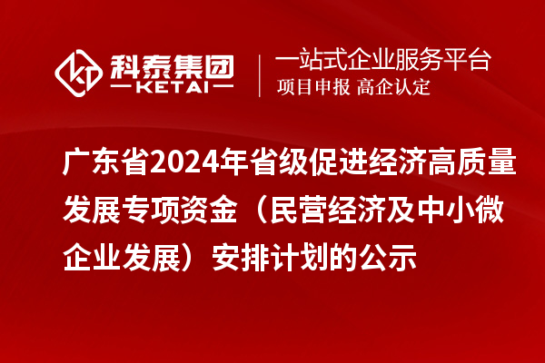 廣東省2024年省級促進經濟高質量發(fā)展專項資金（民營經濟及中小微企業(yè)發(fā)展）安排計劃的公示