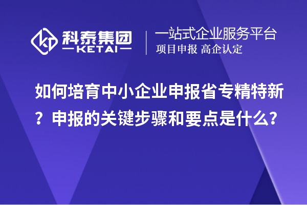 如何培育中小企業(yè)申報(bào)省專(zhuān)精特新？申報(bào)的關(guān)鍵步驟和要點(diǎn)是什么？