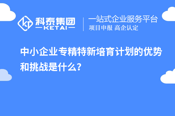 中小企業(yè)專精特新培育計(jì)劃的優(yōu)勢和挑戰(zhàn)是什么？